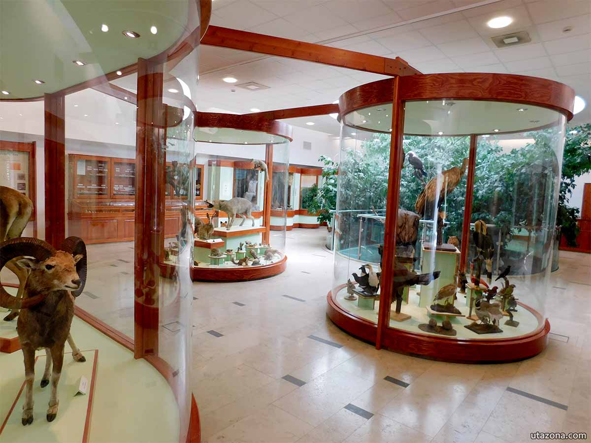 Természettudományi pavilon