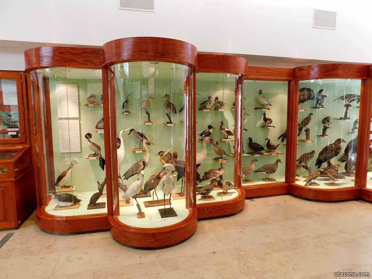 Természettudományi pavilon