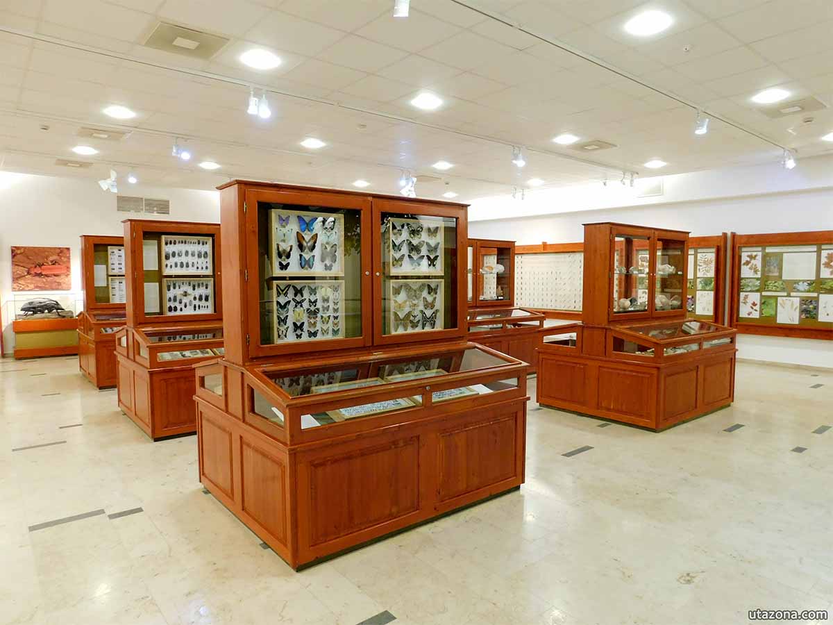 Trópusi lepkék - Természettudományi pavilon