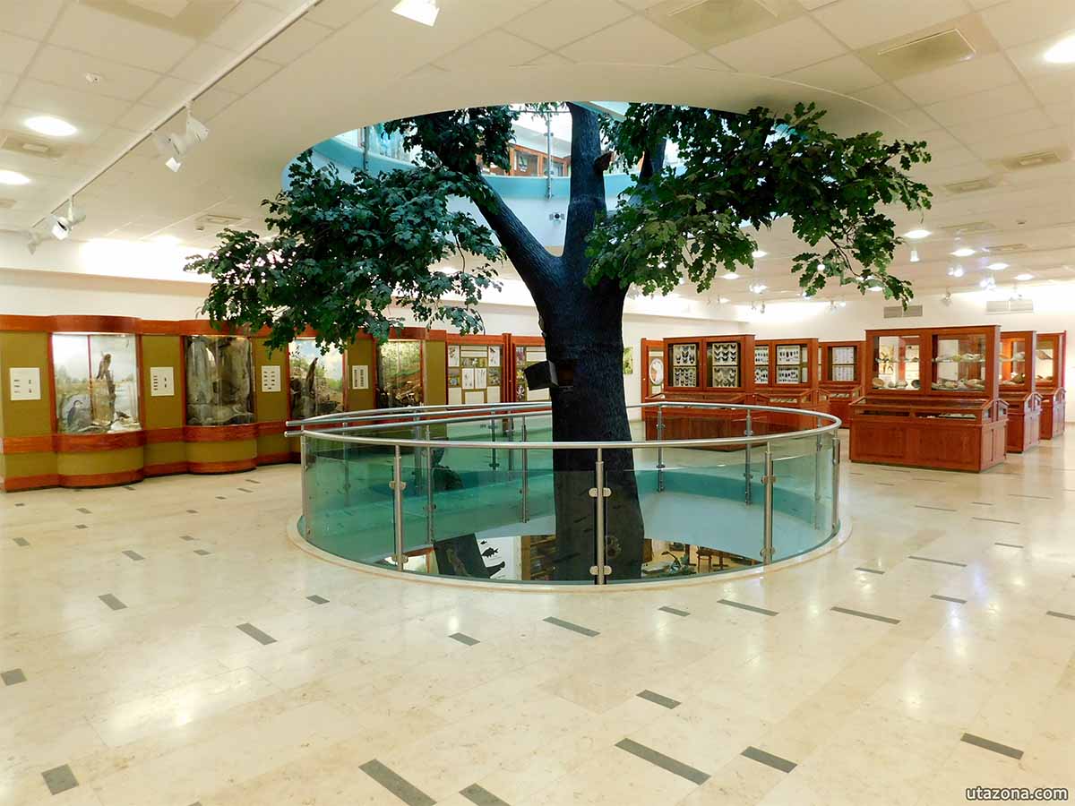 Természettudományi pavilon