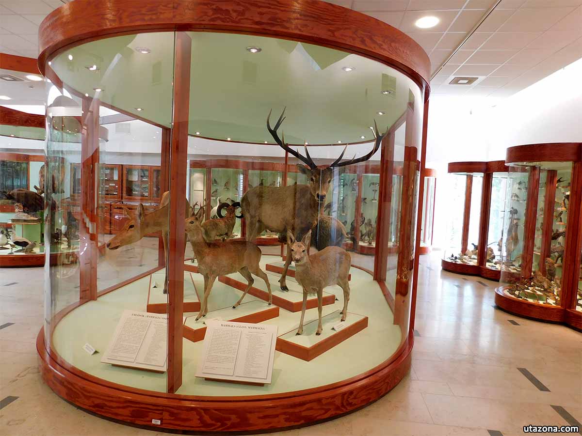 Természettudományi pavilon