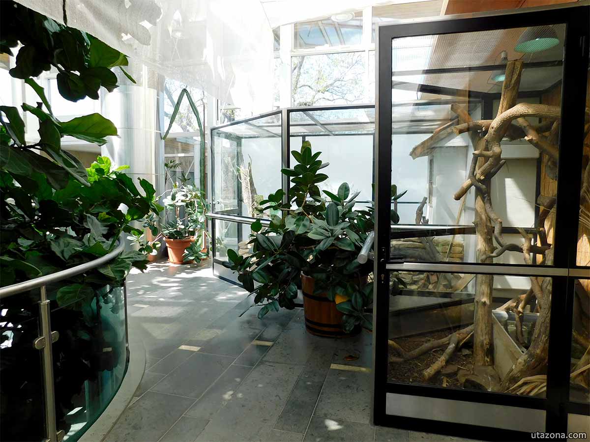 Pálmaház - Természettudományi pavilon