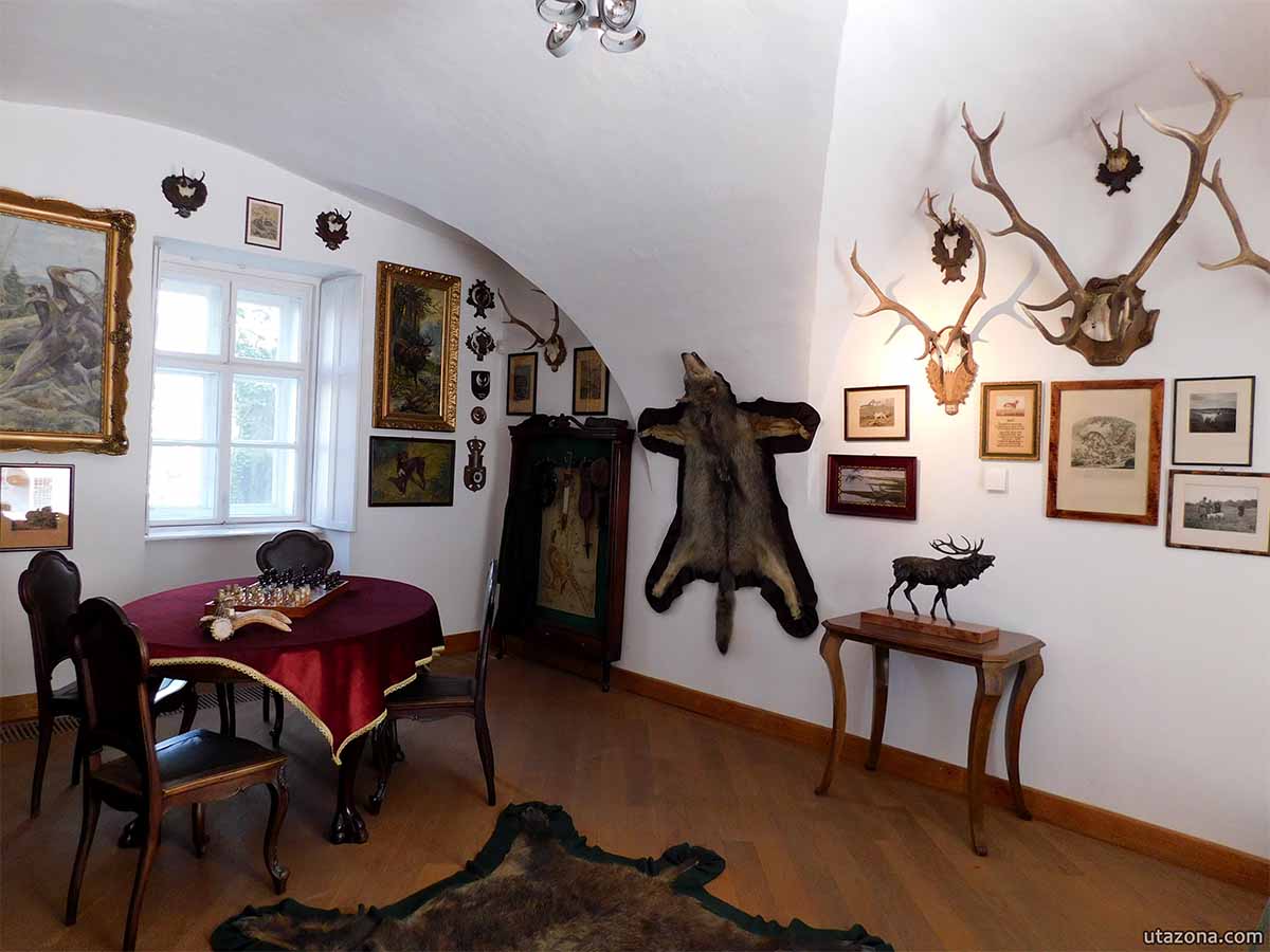 Mátra múzeum - Vadászati kiállítás
